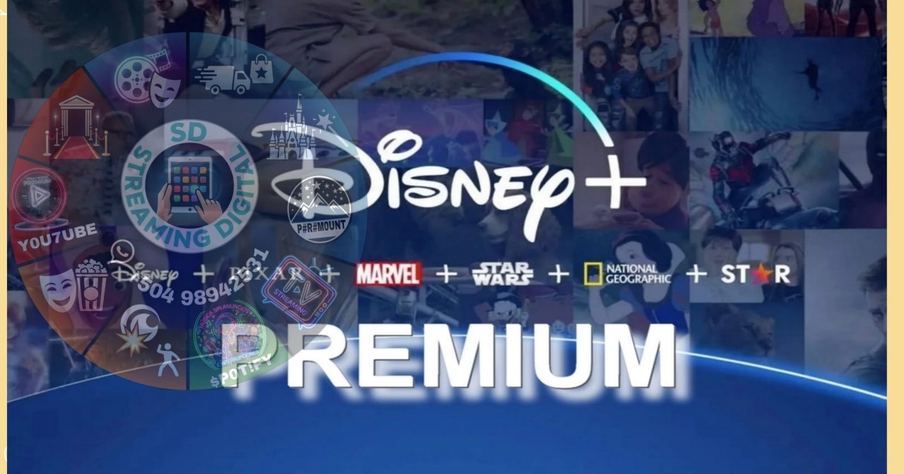 DISNEY STANDAR CUENTA 1 MES